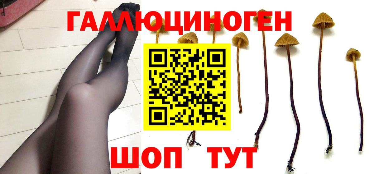 Псилоцибиновые грибы прущие грибы Элиста