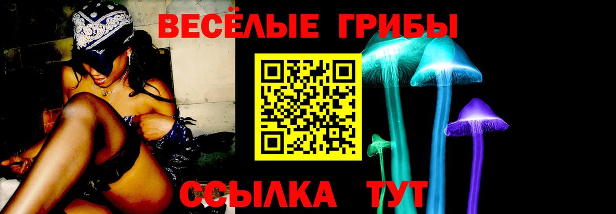 Элиста  Галлюциногенные грибы Psilocybine cubensis  Вход с VPN 